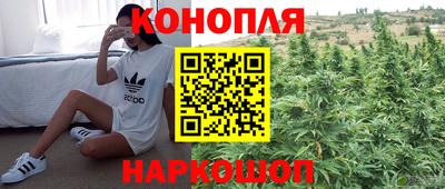 прущие крисы Краснокаменск