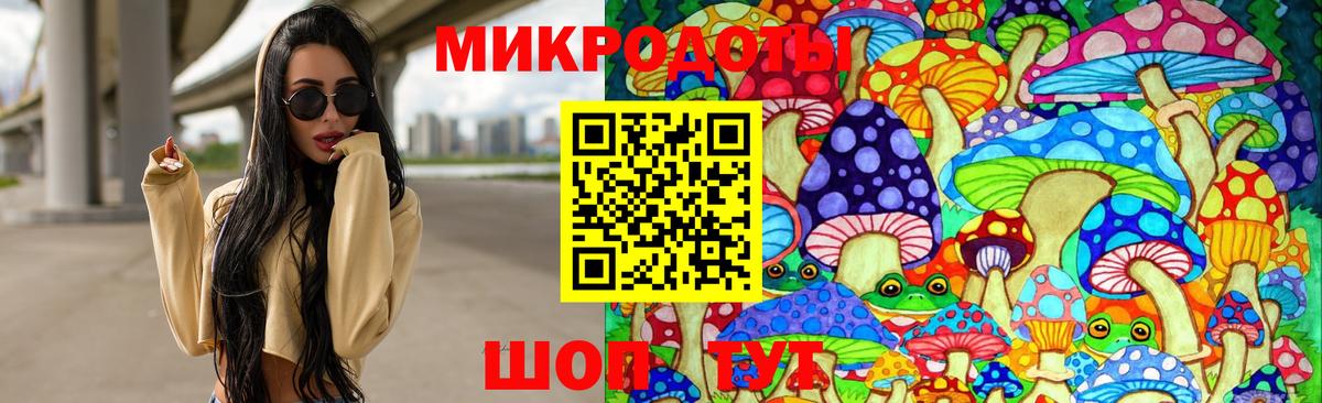 Псилоцибиновые грибы Psilocybine cubensis  Вход с VPN  Карабулак 